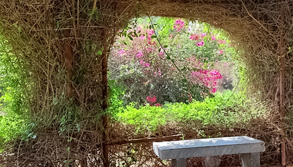 هتل ارم کیش